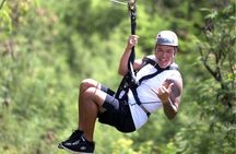 6 Zipline Adventure at Coral Crater (Optional Waikiki Shuttle)