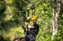 Oahu:6 Zipline Adventure (Optional Waikiki Shuttle for 10am Tour)