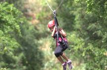 Oahu:6 Zipline Adventure (Optional Waikiki Shuttle for 10am Tour)
