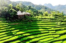 Mai Chau & Pu Luong 2 Days tour: Culture,Local Village Experience