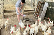 From Hanoi/Ninh Binh: 2-Day Pu Luong Trek & Eco Lodge Stay