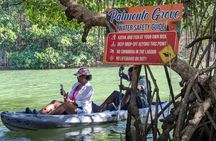 Garifuna Gastronomic and Musical Experience