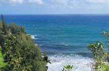 Full Day Small Group Tour of Maui Waterfall, Beach and Hana
