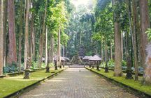 Bali Private Car Charter with Best Bali Private Driver for Tour
