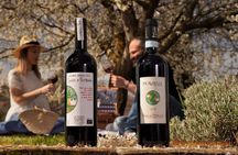 Chianti & Montalcino Wine Tour from San Gimignano
