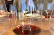 Chianti & Montalcino Wine Tour from San Gimignano