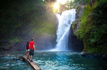 Bali Private Tour: Ubud, Waterfall, Temple, Monkey forest etc