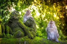 Bali Private Tour: Ubud, Waterfall, Temple, Monkey forest etc