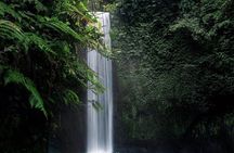 Snorkeling at Blue Lagoon Bali with Waterfall, Swing, Atv