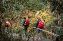 Inca Trail One Day Tour