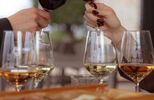 Private and Tuscan Wine Tasting in Montepulciano