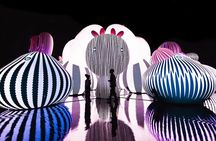 Balloon Museum Chicago Admission