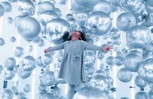 Balloon Museum Chicago Admission