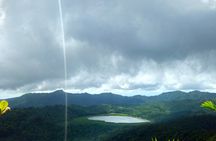 Scenic route and Rainforest Private Tour