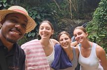 Scenic route and Rainforest Private Tour