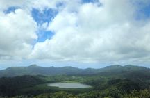 Scenic route and Rainforest Private Tour