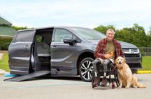 Antigua without Barriers. Inclusive and Family. Quetzal Port.