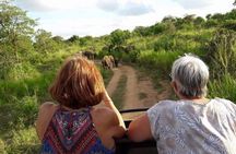 Udawalawe Elephant Safari & Transit Home visit All Inclusive