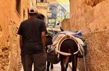 Fes Medina Walking Tour with Local Guide & Hidden Gems