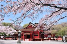 Mt Fuji World Heritage Private Tour by Bullet Train and Car