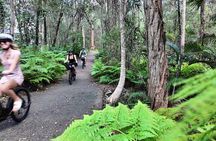 eBike Noosa Sightseeing Tour - New!