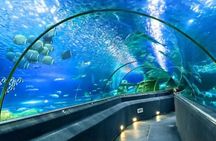 Half Day Car Nha Trang Excursion in Vietnam