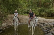 Horseback Riding Tour from La Perla Waterfall