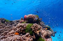 The Elite Similan Islands Yacht Experience