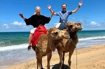 Tangier Private Luxury Tour with Camel Ride - 4-Hour Experience