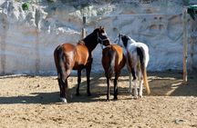 Santorini Family Horseback Adventure:Volcanic Trails & Beach Ride