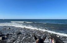 Santorini Family Horseback Adventure:Volcanic Trails & Beach Ride