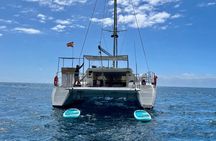 Shared Catamaran Tour with Drinks Lunch and Snorkeling