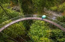 Vancouver and North Shore Highlights Private Tour Capilano