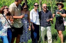 WAIHEKE ZEITGEIST PREMIUM WAIHEKE WINE TOURS Rural Side Wineries