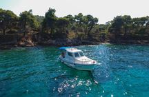 Zadar: Small Group Boat Tour with Drinks & Snorkeling