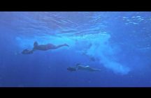 Curacao Sea Scooter Power Snorkel Adventure 