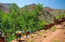 Discovering the High Atlas Mountains, Summit of Tasghimout 2660m