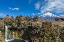 Mt Fuji World Heritage Private Tour by Bullet Train and Car