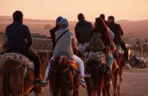 Agafay Desert Camel Ride Sunset Dinner and Live Moroccan Show