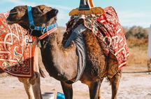 Agafay Desert Camel Ride Sunset Dinner and Live Moroccan Show