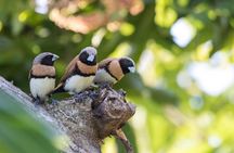 Exclusive discovery and photo tour in Moorea