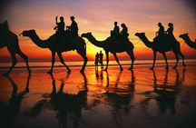 1 Hour Broome Sunset Camel Tour on Cable Beach