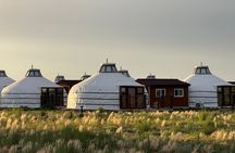 Discover the Wonders of the Gobi Desert in Mongolia ️