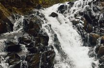 Bel Ombre 4X4 Safari Adventure