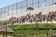 Addis Ababa Immersive Cultural Experience