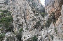 Private Tourism Algar Falls by Car (Small Groups)