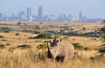 Half-Day Safari Adventure in Nairobi National Park