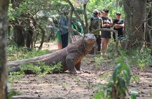 Top Komodo Island Shore Tour for passengers of Cruise Ship