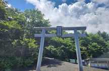 Touch Mt. Fuji at the 5th Station from Shimizu Port