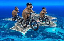 PUBLIC TOUR > Wadjemup Tour Rottnest Island E Bike Adventure